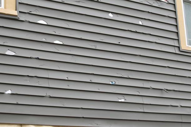 Best Vinyl Siding Installation  in Live Oak, CA