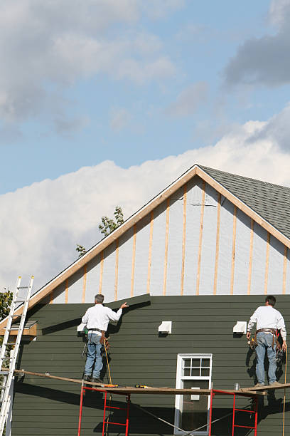 Best Stone Veneer Siding  in Live Oak, CA